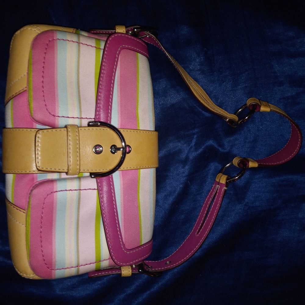 Striped Coach Shoulder Bag